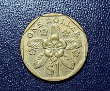 Singapore 1 dollar coin