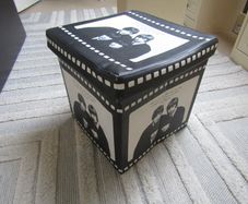 Beatles vinyl storage box/cube foldable