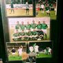 2002. Mick McCarthy. Ireland's World Cup. 2002. Image 5