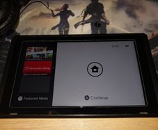 Nintendo Switch Unpatched/Moddable