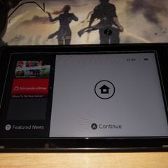 Nintendo Switch Unpatched/Moddable