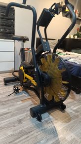 Evo Renegade Air Bike