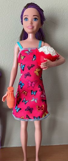 Barbie Campervan Accessories