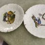 SET OF 2 HANGING PLATE Alfred Meakin Audubon Birds of America Teacup Saucer 5.75 Inches. Image 2