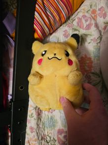 Pokamon