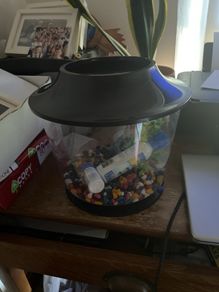 fish bowl starter kit