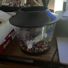 fish bowl starter kit
