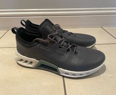 Ecco Biom C4 golf shoes