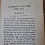 Vintage book 'Sunshine and the Dry Fly' by J. W. Dunne Image 6