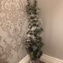 Christmas selection Image 4