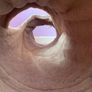 Cat tunnel Image 3
