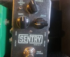 TC Electronic Sentry