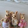 Sylvanian Families bundle Image 5