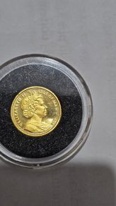 gold coin