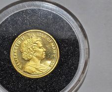 gold coin