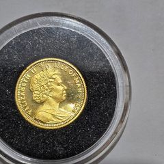 gold coin