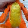 Disney TY Tigger Sparkle Plush approx. 10 Used Please see pictures Image 8