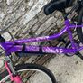 bike Image 2