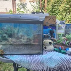 Fish tank
