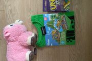 Minecraft 10 euro only
