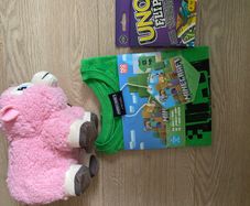 Minecraft 10 euro only