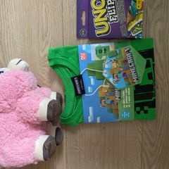 Minecraft 10 euro only