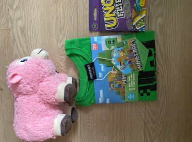 Minecraft 10 euro only