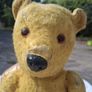Early 1930's Mohair Articulated Teddy Bear Image 4