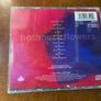 Hothouse Flowers Songs From The Rain CD Image 2