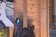 evh wolfgang standard