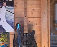 evh wolfgang standard