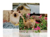 personalised A4 Cardboard Jigsaw Puzzle