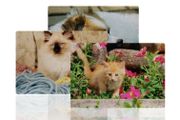 personalised A4 Cardboard Jigsaw Puzzle