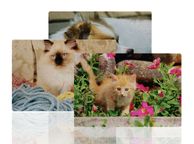 main image for ad personalised A4 Cardboard Jigsaw Puzzle