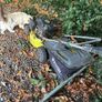 lawnmower Image 4