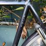 Gazelle Bike Image 2