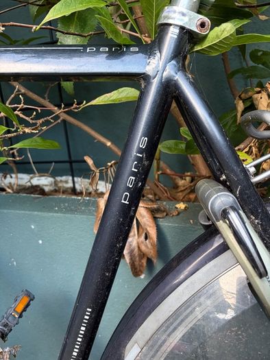 Gazelle Bike