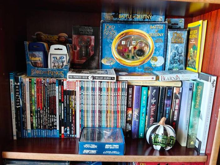 action figure, graphic novel, toys,books, VHS massive collection