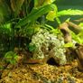 Fish tank full setup Image 6
