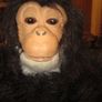 VINTAGE  fur real cuddle chimp   Animated Image 2