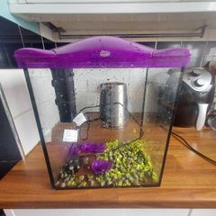 Fish tank and filter