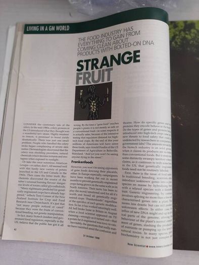 vintage science magazine 1999