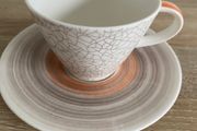Villeroy and boch tea cup and saucer set
