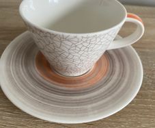 Villeroy and boch tea cup and saucer set