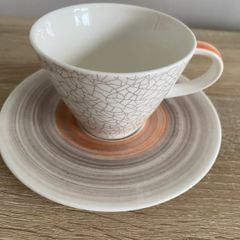 Villeroy and boch tea cup and saucer set