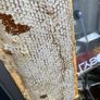 2026 Raw Summer Honey Image 5