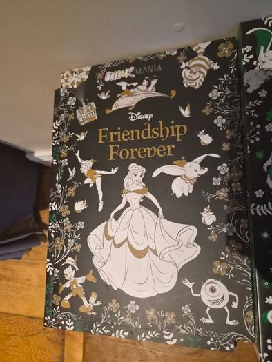 3 Disney Colouring books & markers