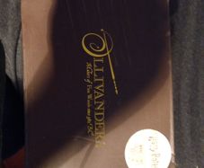 Harry Potter Wand Pens