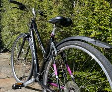Ridgeback ladies bike