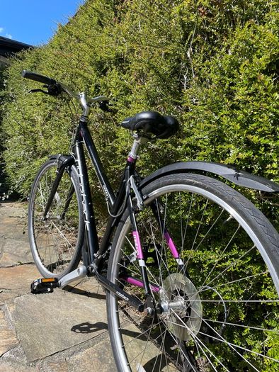 Ridgeback ladies bike